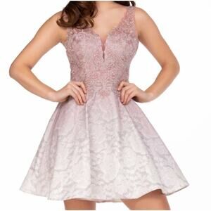 NWT 94096 Abby Paris Pink Ombre Embellished Mini Dress, Size 12